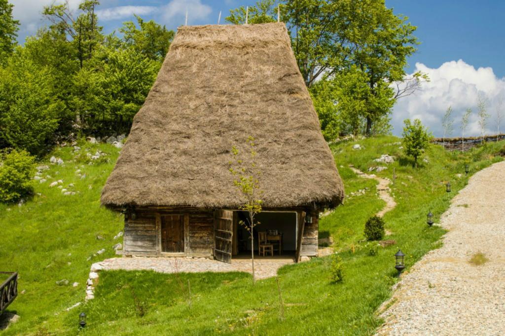 Raven'S Nest Hotell Sălciua de Jos Eksteriør bilde