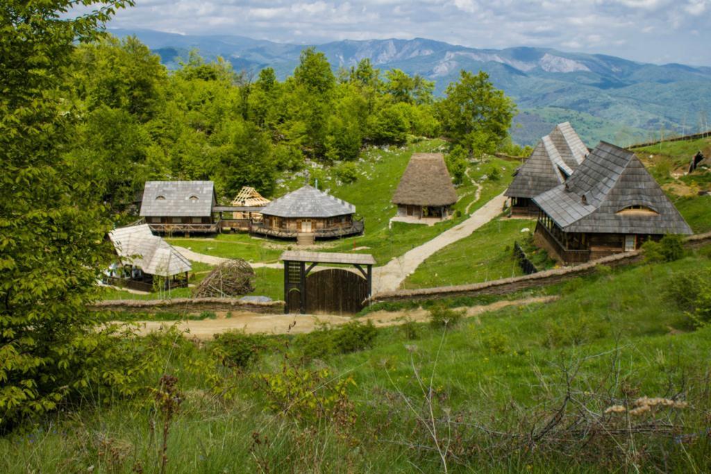 Raven'S Nest Hotell Sălciua de Jos Eksteriør bilde