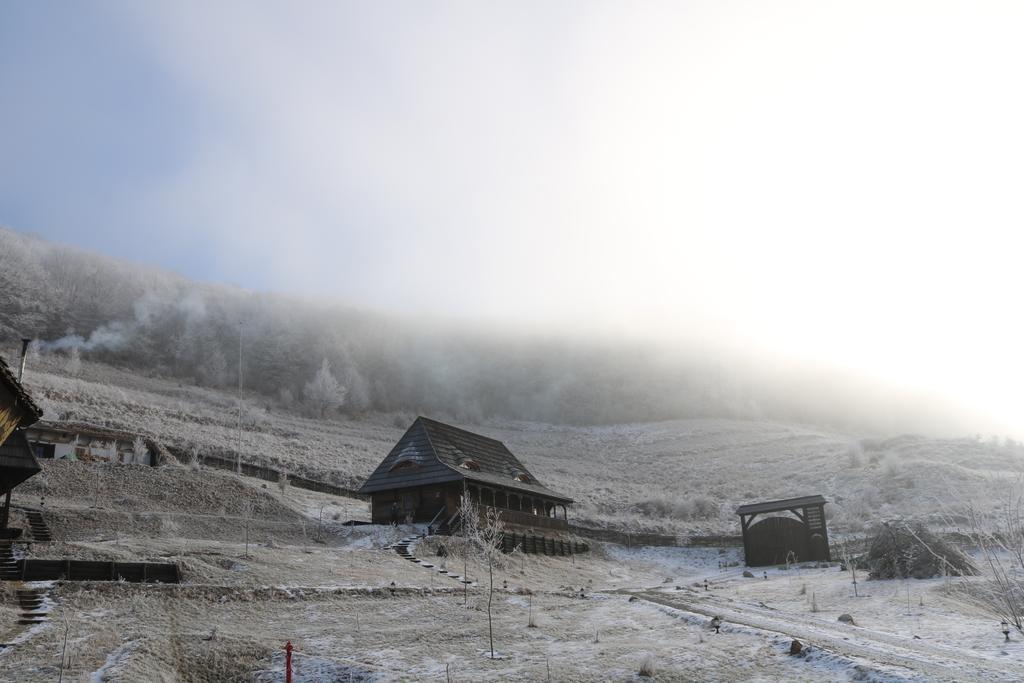 Raven'S Nest Hotell Sălciua de Jos Eksteriør bilde