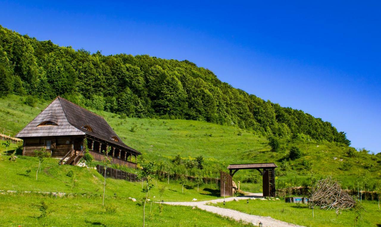 Raven'S Nest Hotell Sălciua de Jos Eksteriør bilde